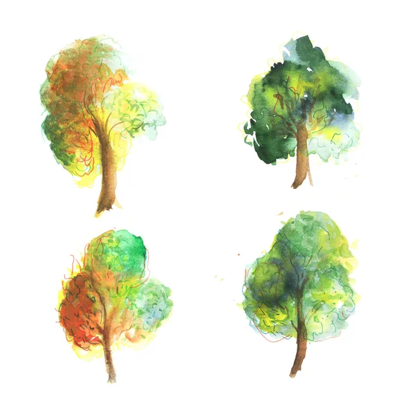 Watercolor trees collection — Stock Image Watercolor trees collection Stock Image