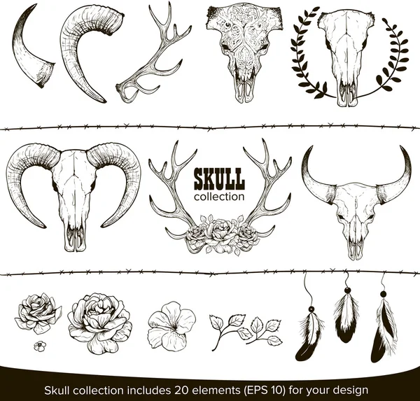 Cow skull collection — Stock Vector