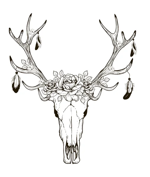 Deer Skull Vector — Stock Vector