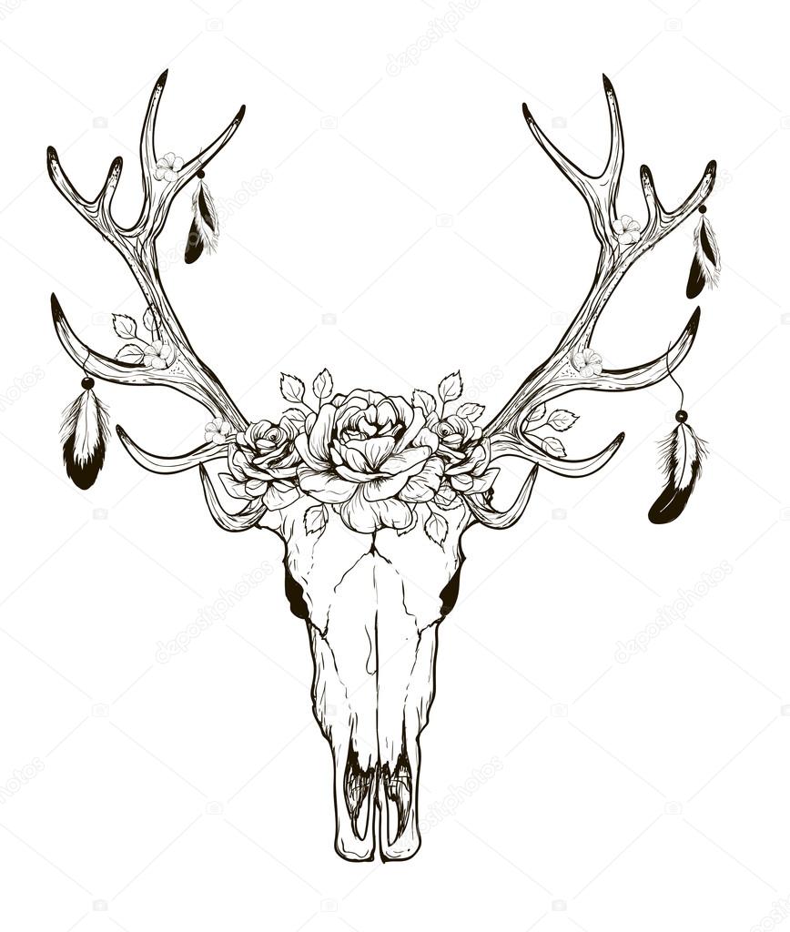 Deer Skull Vector