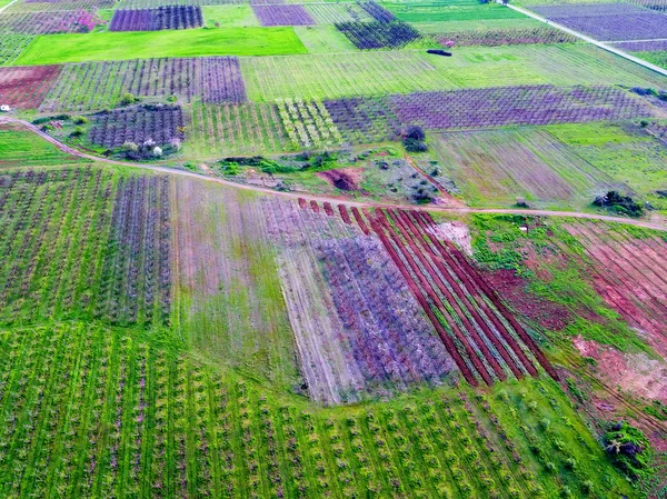 Vista aérea sobre campos agrícolas con árboles florecientes — Foto de Stock