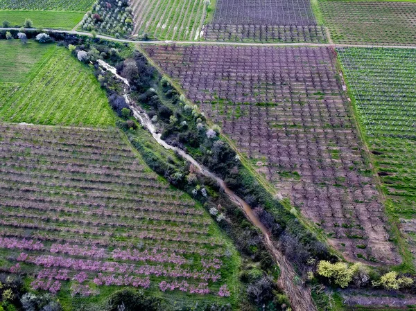 Vista aérea sobre campos agrícolas com árvores em flor — Fotografia de Stock