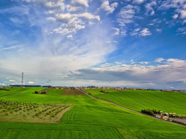 Vista aérea sobre campos agrícolas con árboles en flor. Antena —  Fotos de Stock