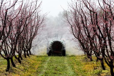 Bir hava patlama spreyi kullanarak traktör ile çiftçi