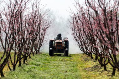 Bir hava patlama spreyi kullanarak traktör ile çiftçi