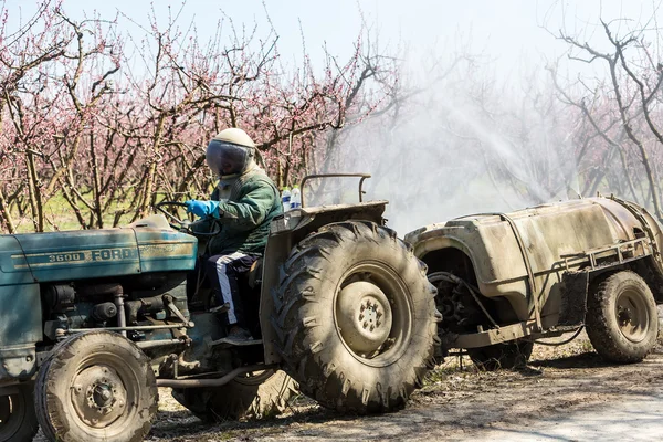 Farmer with tractor using a air blast sprayer — Stock Photo, Image