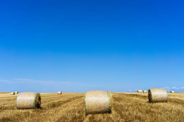 Agricultural field on which stacked straw haystacks after the wh — Stock Photo, Image