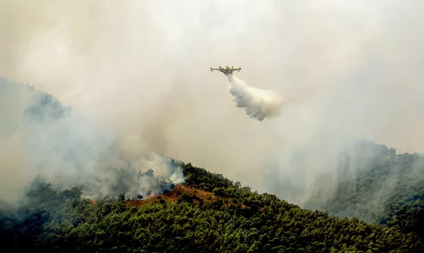 Incendie dans les zones forestières de Viotia en Grèce centrale — Photo