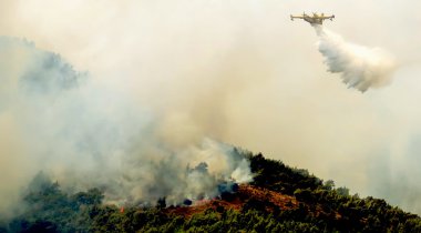 Viotia Merkezi Yunanistan'da orman bölgelerinde ateş