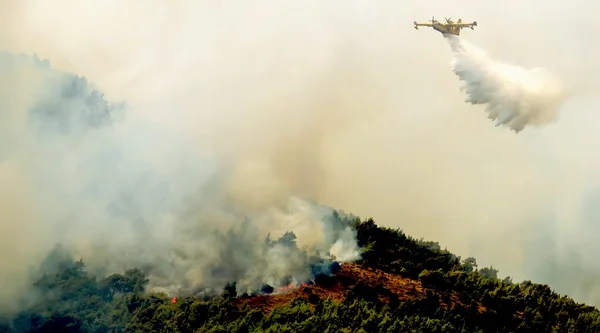 Incendio en zonas forestales de Viotia en Grecia Central — Foto de Stock