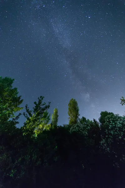 De sterrenhemel en de Melkweg — Stockfoto