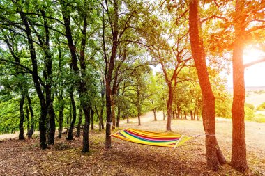 Doğada en güzel yer, yeşil ormanda hamak, outdo
