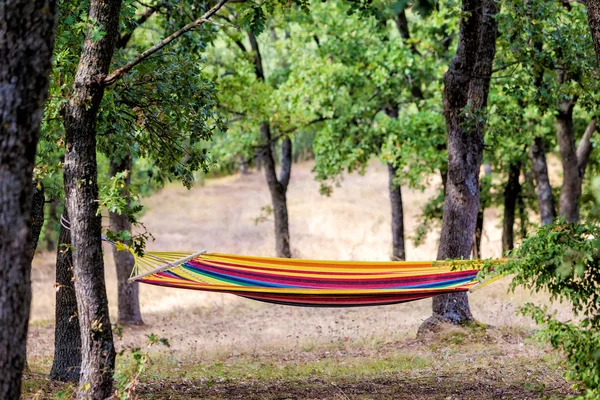 En vackraste plats i naturen, hängmatta i grön skog, överträffa — Stockfoto