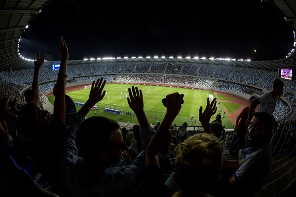 Vista interior de Boris Paichadze Dinamo Arena, Tiflis, Georgia — Foto de Stock