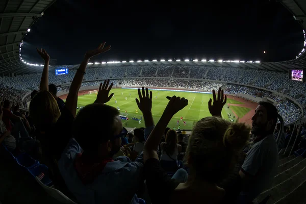 Innenansicht der boris paichadze dinamo arena, Tiflis, Georgien — Stockfoto