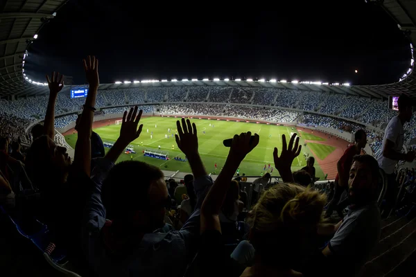 Vista interior de Boris Paichadze Dinamo Arena, Tiflis, Georgia — Foto de Stock