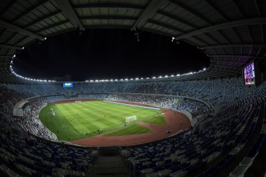 Boris Paichadze Dinamo Arena, Tiflis, Gürcistan iç görünüm