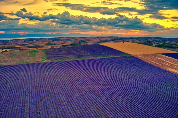 Lavanda Florescente Pôr Sol Criar Uma Paisagem Incrivelmente Bonita Mesimeri — Fotografia de Stock