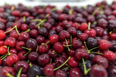 Bir kutuda toplanmış kırmızı kiraz hasadı. Seçici odaklı ve renkli bir resim.