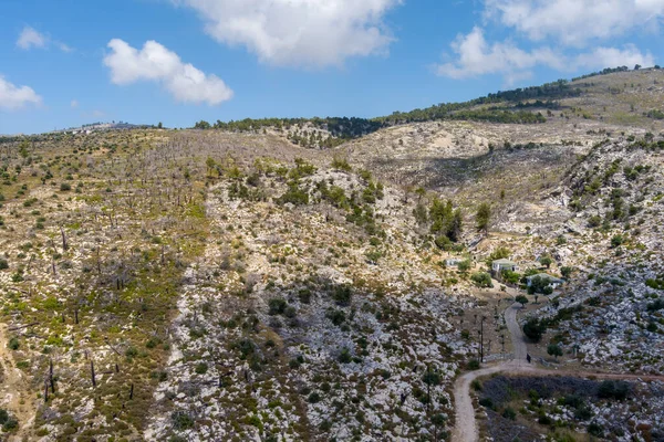 Floresta Queimada Cinco Anos Após Incêndio Aliki Thassos Grécia — Fotografia de Stock