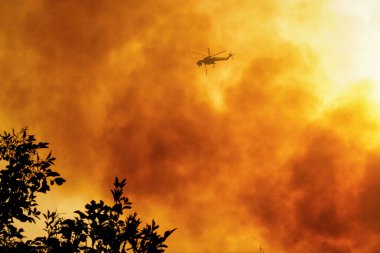 5 Ağustos 2021 'de Yunanistan' ın Mora kentindeki Antik Olympia yakınlarındaki bir yangına bir helikopter su döktü. 