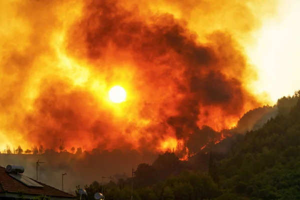 Incendios Forestales Amanecer Cerca Zona Antigua Olimpia Peloponeso Grecia Agosto — Foto de Stock