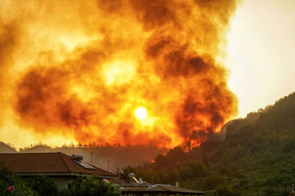 Incendios Forestales Amanecer Cerca Zona Antigua Olimpia Peloponeso Grecia Agosto — Foto de Stock