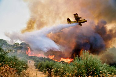 Moreloponnese, Yunanistan, 05 Ağustos 2021: Antik Olympia bölgesindeki Xelidoni köyünde çıkan yangını söndürmeye çalışan bir itfaiye uçağı su yükünü boşaltıyor