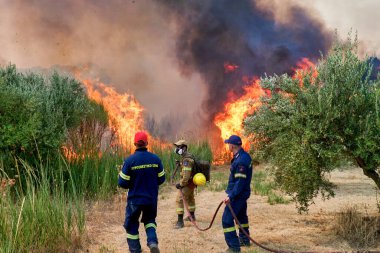 Moreloponnese, Yunanistan, 05 Ağustos 2021: Eski Olympia bölgesindeki Xelidoni köyündeki bir yangını söndürmek için itfaiyeciler mücadele ediyor