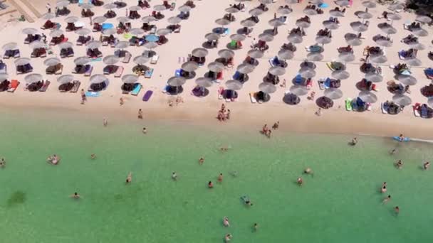 希腊塔索斯岛的Psili Ammos 2021年7月17日 从上方俯瞰一片翠绿透明的地中海 白色的海滩上布满了沙滩遮阳伞 游客们可以放松地游泳 — 图库视频影像