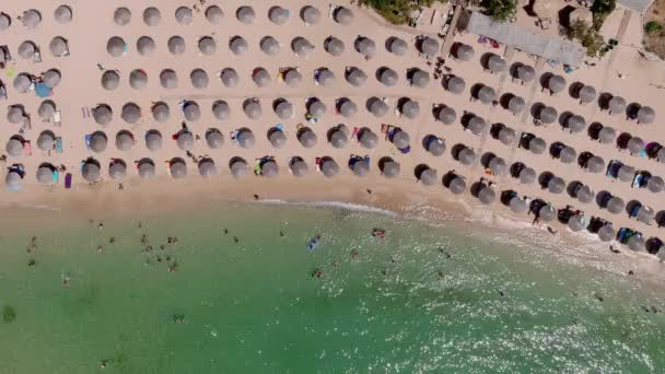 从上方俯瞰 空中俯瞰着一片翠绿而透明的地中海 白色的海滩上布满了沙滩遮阳伞 游客们可以放松地游泳 希腊塔索斯岛Psili Ammos 2021年7月17日 — 图库视频影像