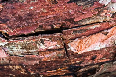 arka plan yakın bir paslı yüzeyinde oluşan