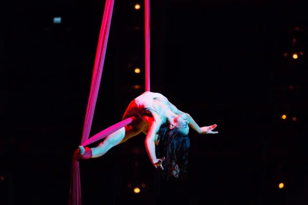 로페 (Rope) 는 Cirque du Soleil 의 쇼 Quidam 에서 출전하지 않는다. — 스톡 사진