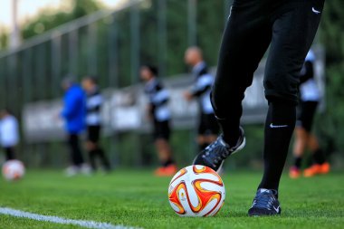 PAOK rakip Fiorentina Uefa Avrupa Ligi