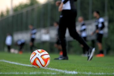 PAOK rakip Fiorentina Uefa Avrupa Ligi
