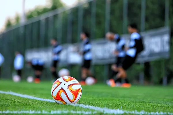 Paok Vs フィオレンティーナ Uefa ヨーロッ パリーグ — ストック写真