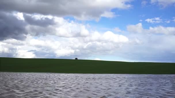 Green field and cloudy sky — Stock Video