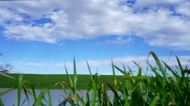 Yeşil Alan ve Bulutlu Gökyüzü