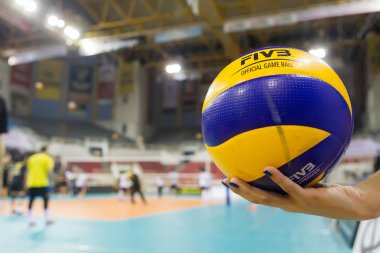 PAOK Aris Yunan voleybolu Ligi