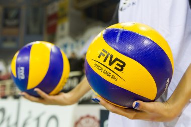 PAOK Aris Yunan voleybolu Ligi