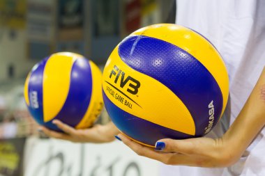 PAOK Aris Yunan voleybolu Ligi