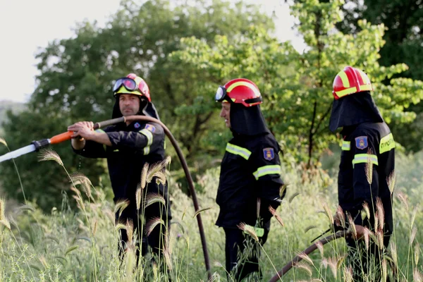 :Pan-European exercise of the Fire Brigade — Stock Photo, Image