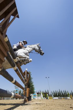 Unknown rider on a horse during competition matches riding round clipart