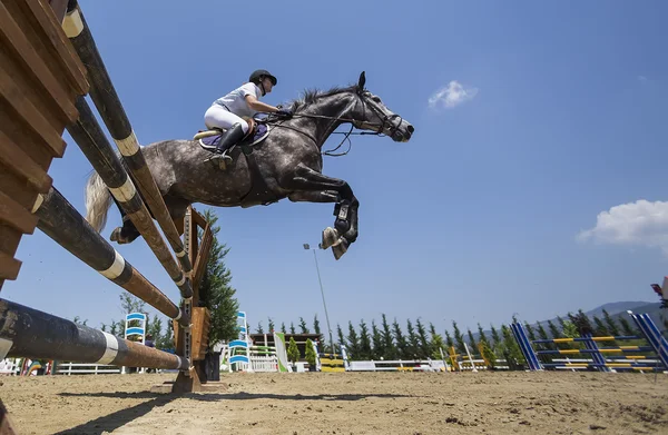 Jinete desconocido en un caballo durante los partidos de competición de equitación ronda — Foto de Stock