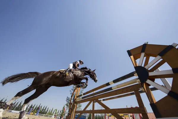 Bilinmeyen sürücü yuvarlak binme rekabet maçlar sırasında bir at üzerinde — Stok fotoğraf