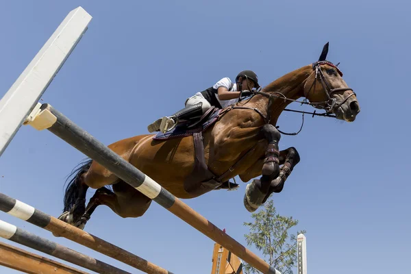 Cavalier inconnu sur un cheval pendant les matchs de compétition équitation ronde — Photo