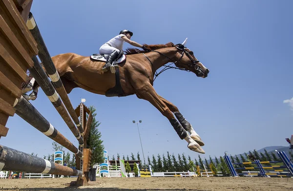 Cavaleiro desconhecido em um cavalo durante jogos de competição montando em torno de — Fotografia de Stock