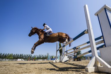 Bilinmeyen sürücü yuvarlak binme rekabet maçlar sırasında bir at üzerinde