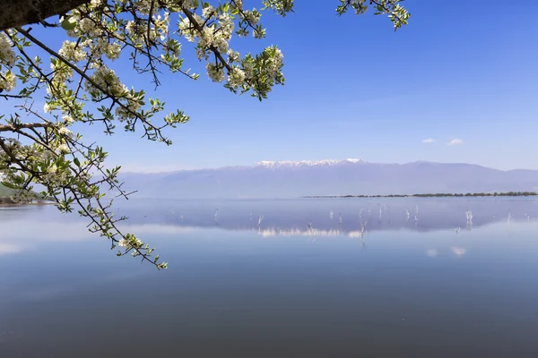 Kerkini lake and mountain eco-area at north Greece by Struma riv — Stock Photo, Image