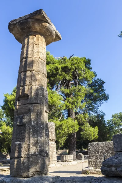 Restos de columna corintia en Olympia, Grecia —  Fotos de Stock